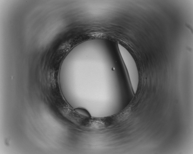 X0000099940572200806131428