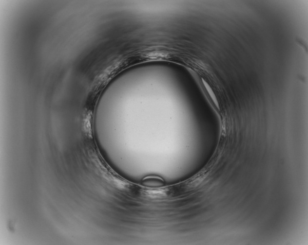 X0000099940573200806131428