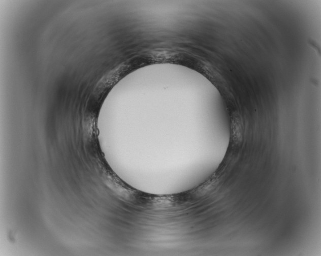 X0000099940574200806131428