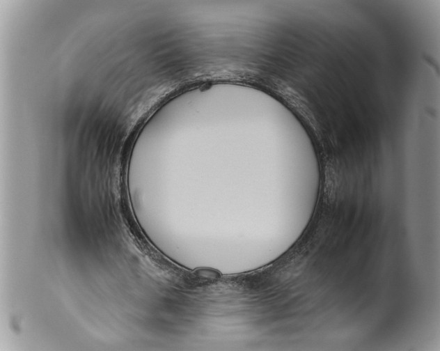 X0000099940578200806131427