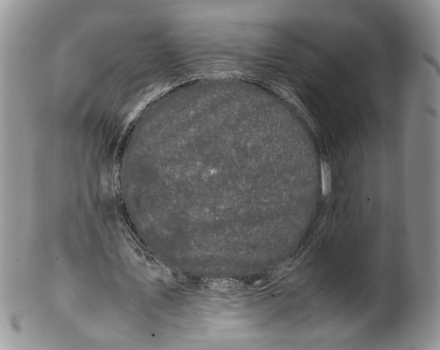 X0000099940579200806131427