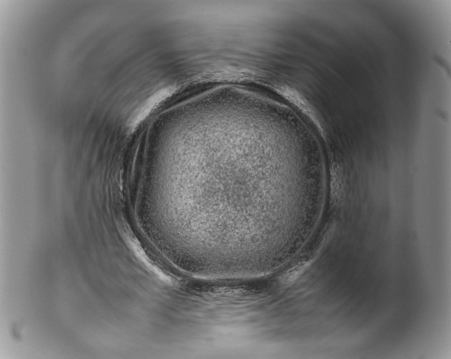 X0000099940581200806131427