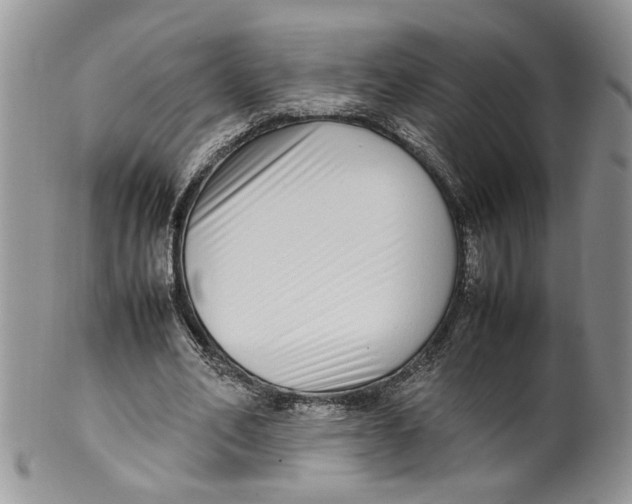 X0000099940582200806131427