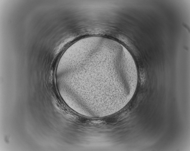 X0000099940583200806131427