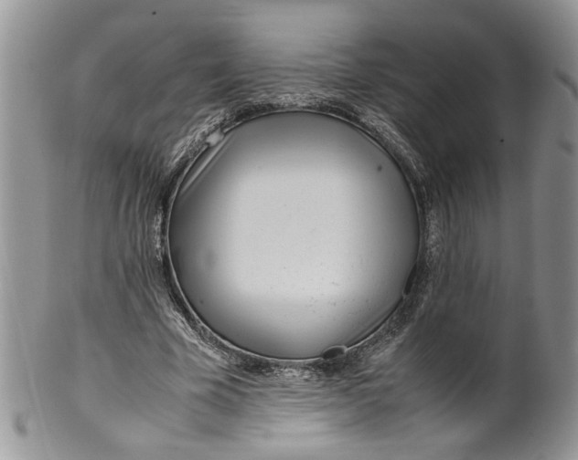 X0000099940585200806131427