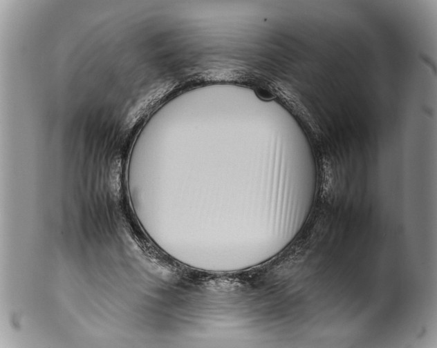 X0000099940586200806131427