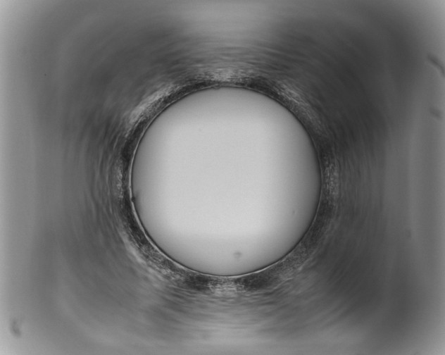 X0000099940587200806131427