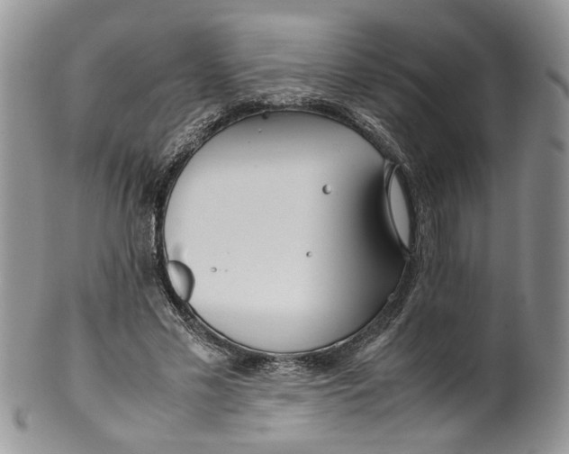 X0000099940589200806131427