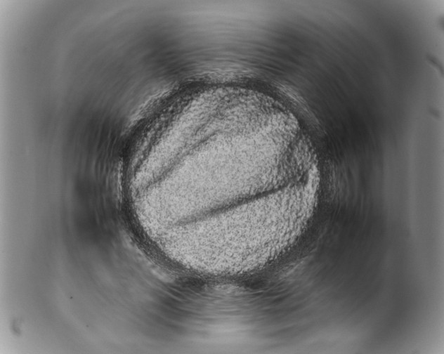 X0000099940590200806131427