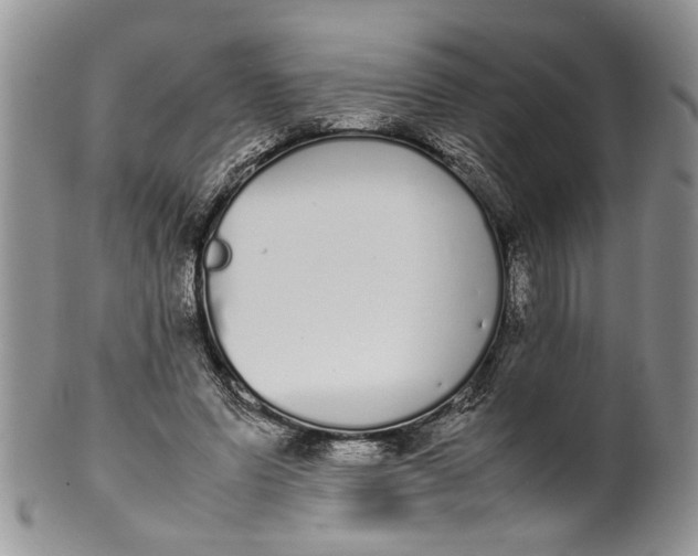 X0000099940591200806131427