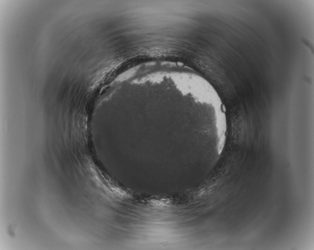 X0000099940592200806131427