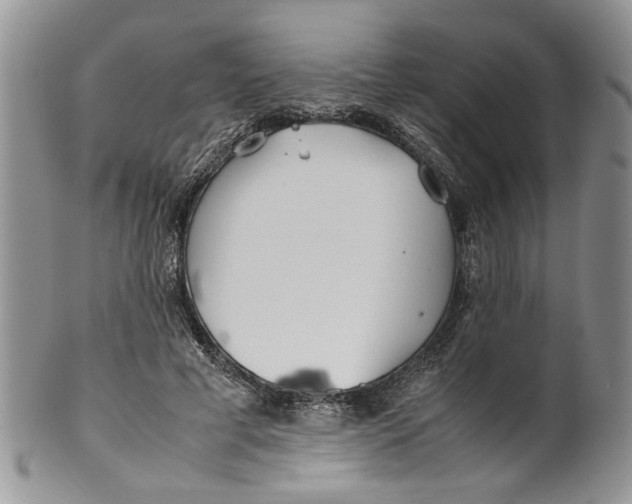 X0000099940593200806131427