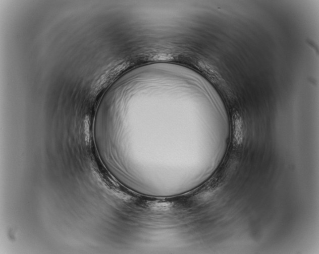 X0000099940594200806131427