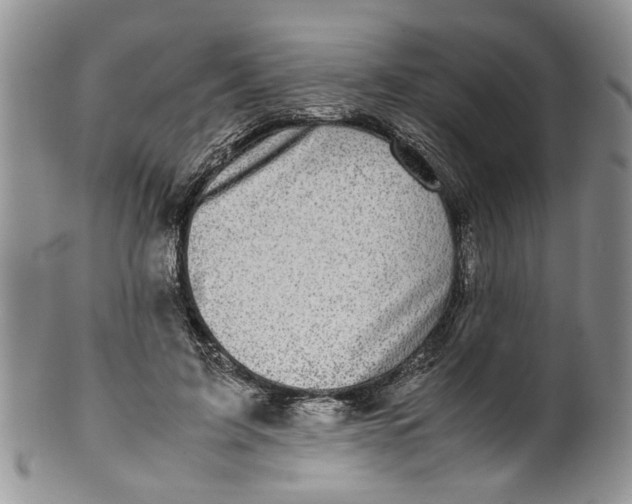 X0000099940595200806131427