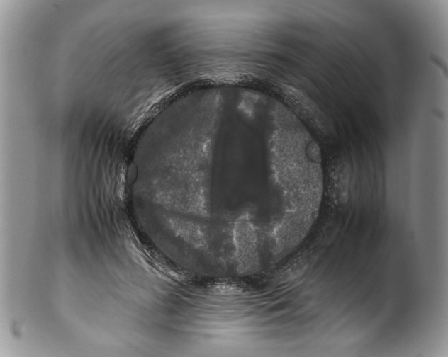 X0000099940596200806131427