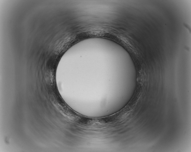 X0000099940597200806131427