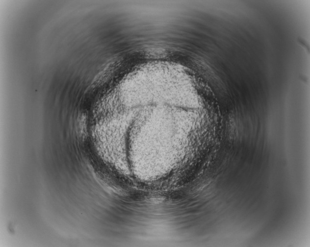 X0000099940598200806131427