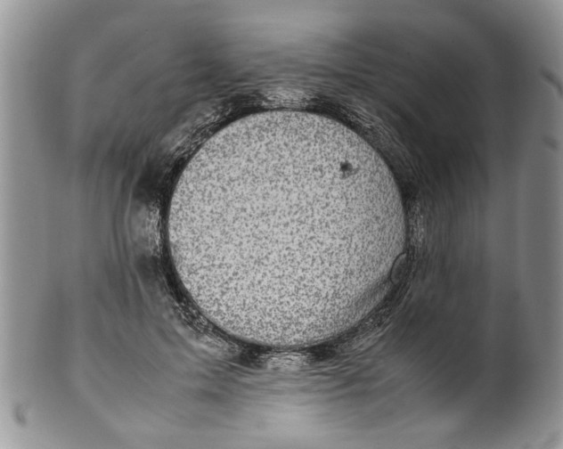 X0000099940599200806131427