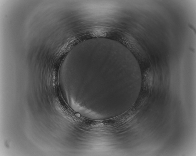 X0000099940600200806131427