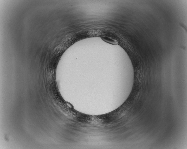 X0000099940601200806131427