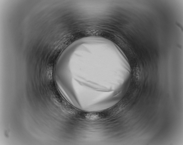 X0000099940602200806131427