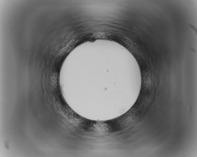 X0000099940603200806131427