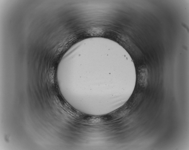 X0000099940604200806131427