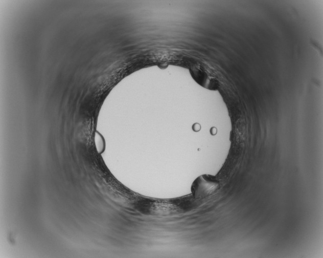 X0000099940605200806131427