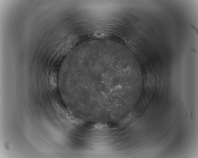 X0000099940606200806131427