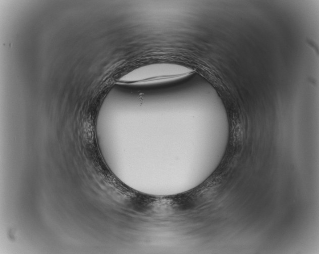 X0000099940609200806131426