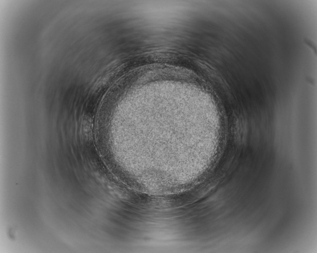 X0000099940610200806131426