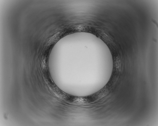 X0000099940611200806131426