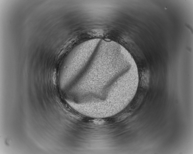 X0000099940612200806131426