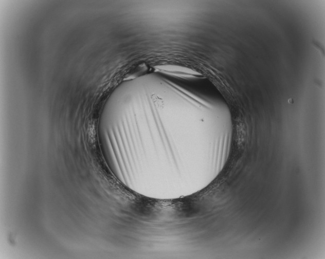 X0000099940613200806131426