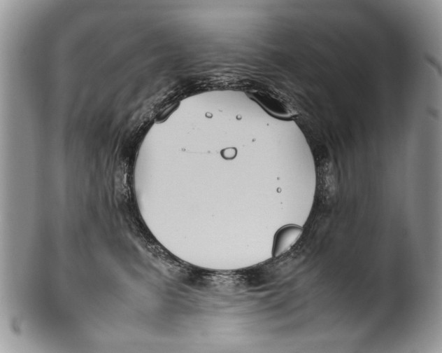 X0000099940615200806131426