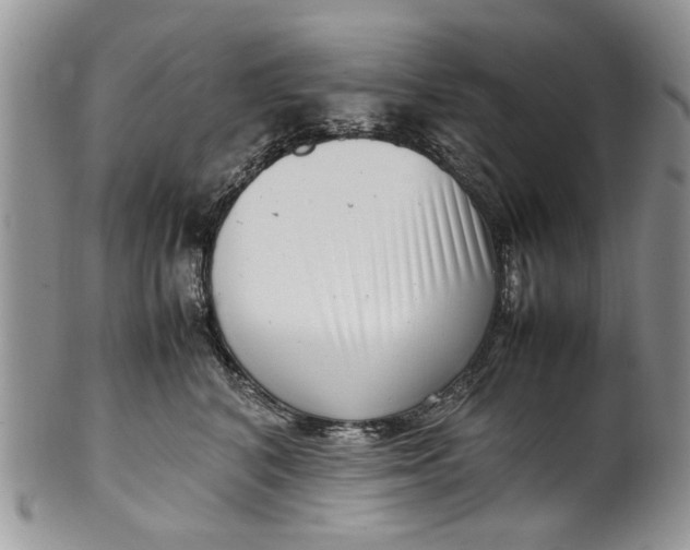 X0000099940616200806131426