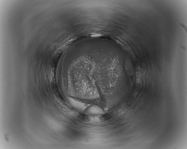 X0000099940618200806131426