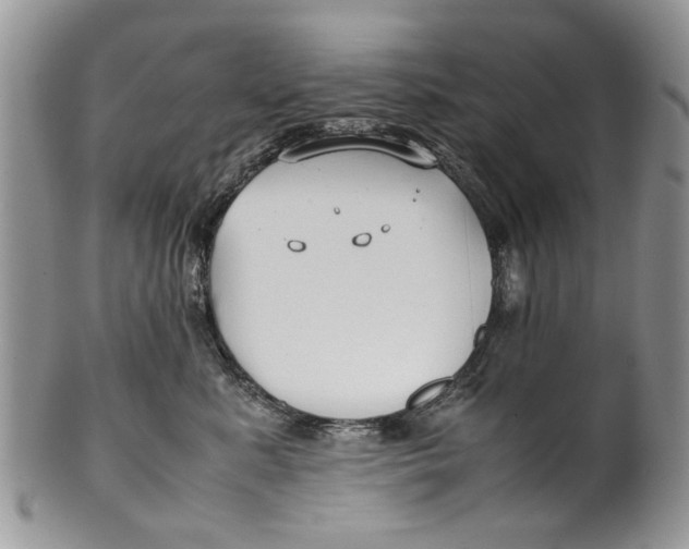 X0000099940619200806131426