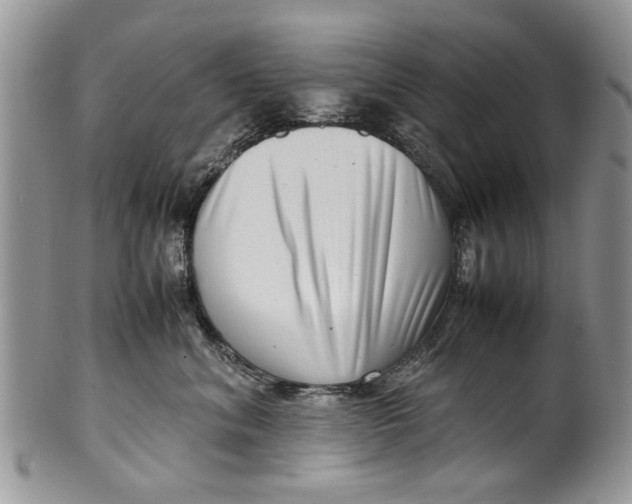 X0000099940620200806131426