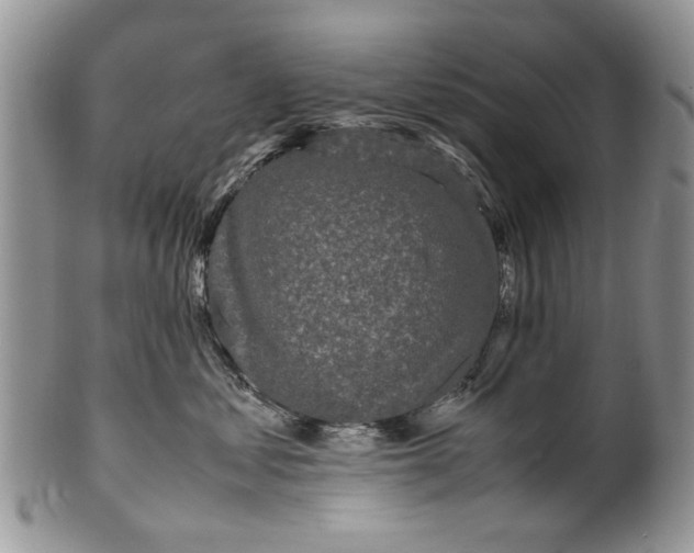 X0000099940621200806131426