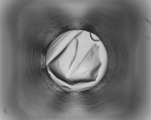 X0000099940624200806131426