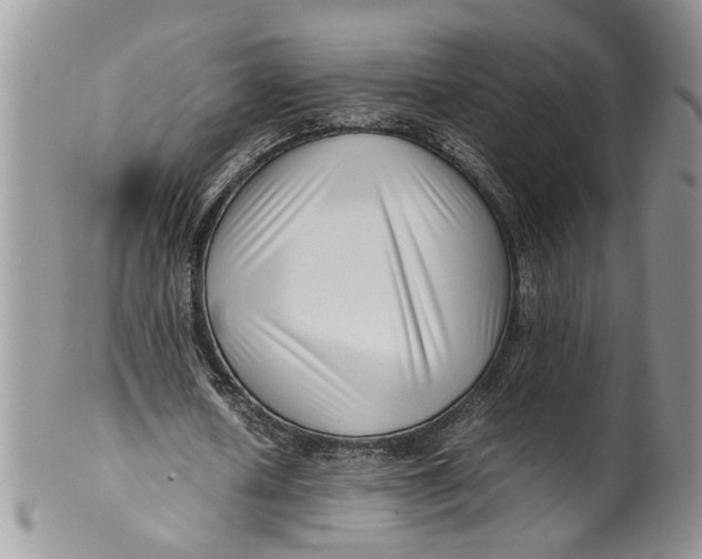 X0000099940626200806131426