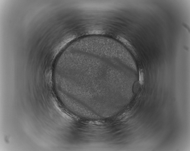 X0000099940627200806131426