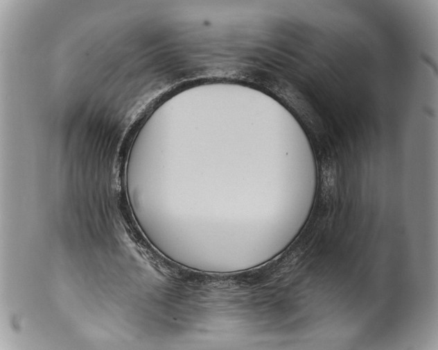 X0000099940628200806131426