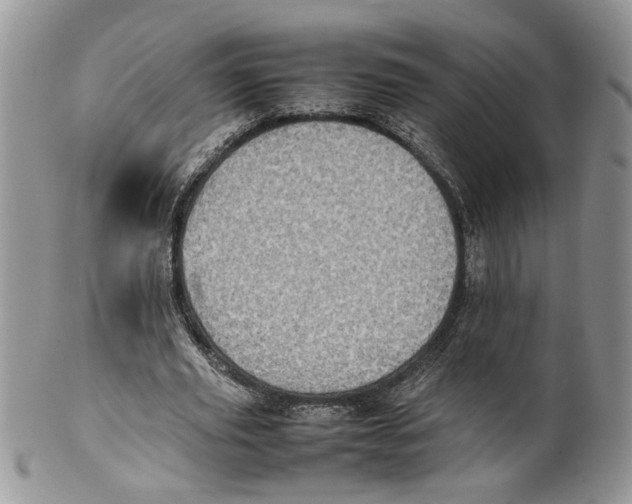 X0000099940629200806131426