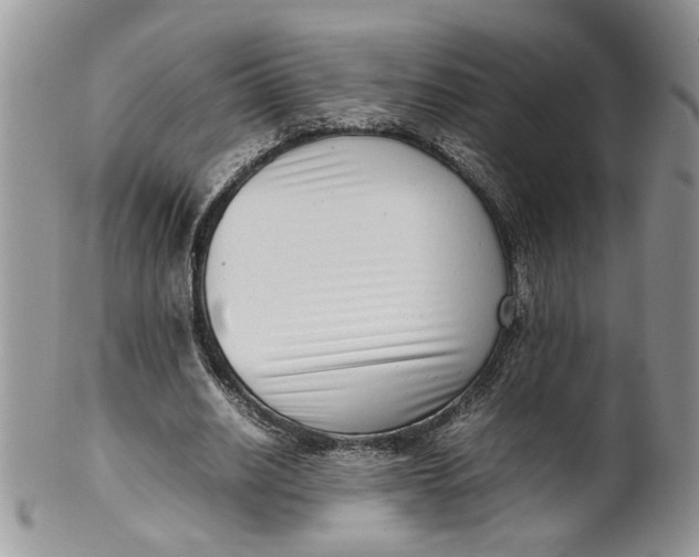 X0000099940630200806131426