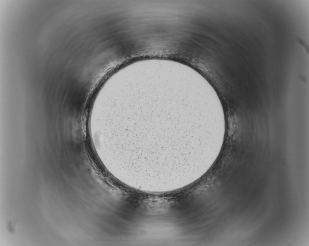 X0000099940632200806131426