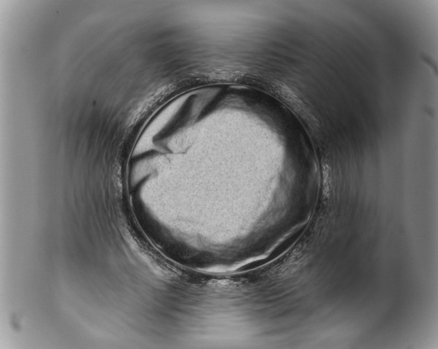 X0000099940634200806131426