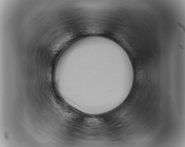 X0000099940635200806131426