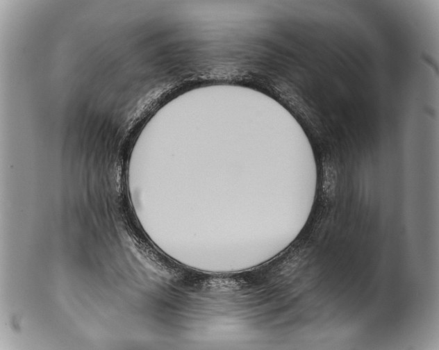 X0000099940636200806131426